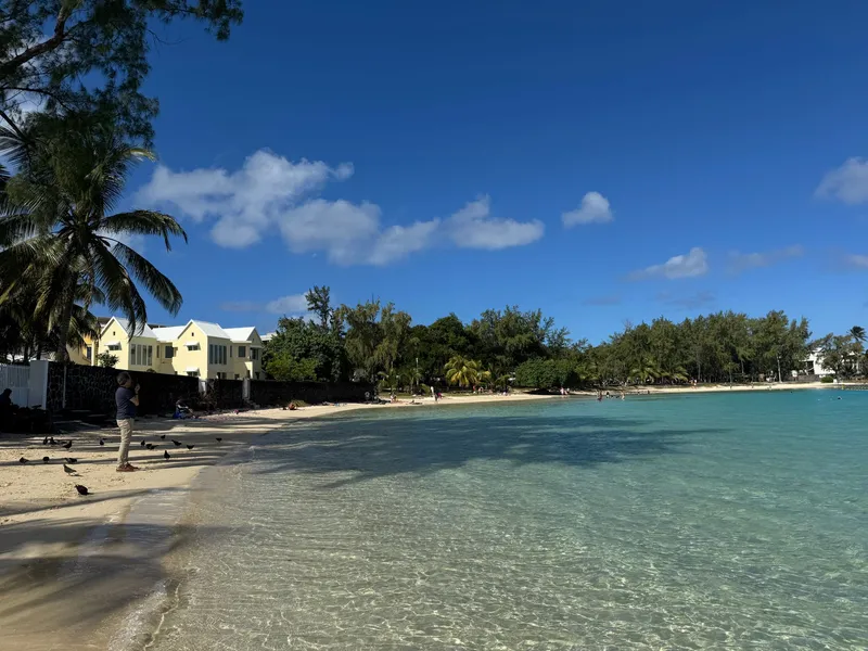 Klares, flaches Wasser und schattige Bäume am Strand von Blue Bay