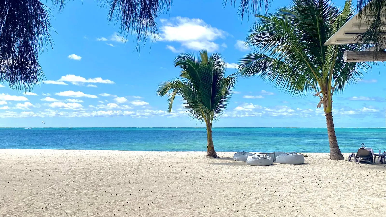 Palmen und Liegen an einem weißen Sandstrand im Norden von Mauritius
