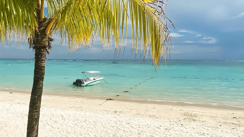 Palme am Strand mit einem vor der Küste ankernden Boot