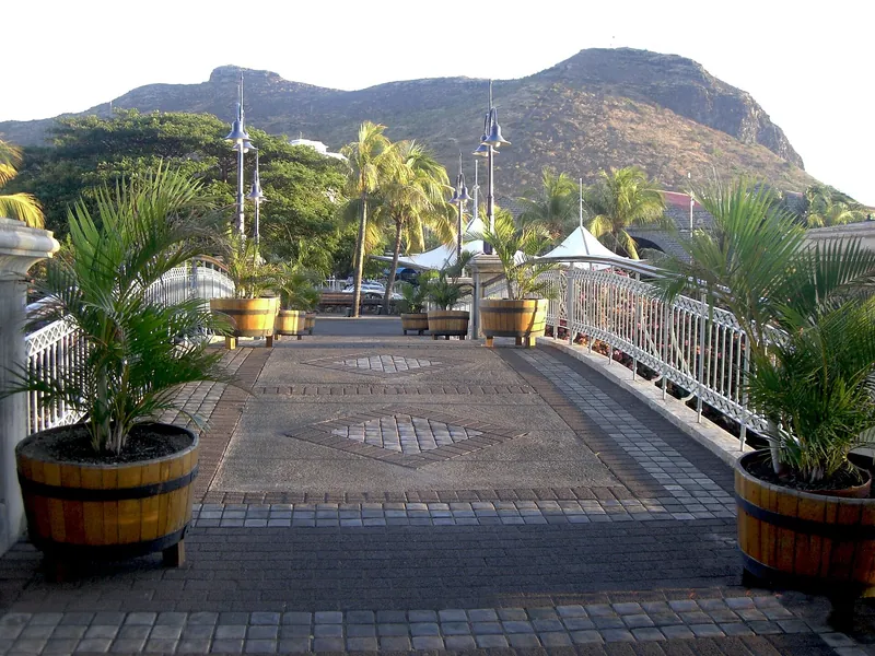 Fußgängerbrücke mit Palmen an der Caudan Waterfront, im Hintergrund Berge